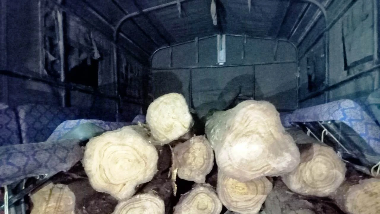 केशकाल वनमंडल के जंगल से अवैध परिवहन करते सागौन की लकड़ी जब्त