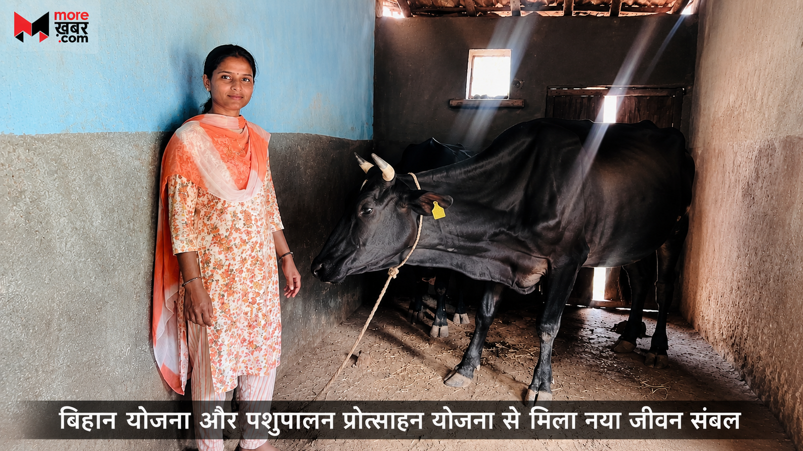 बिहान योजना और पशुपालन प्रोत्साहन योजना से मिला नया जीवन संबल
